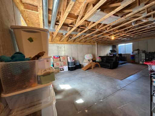 Unfinished Basement