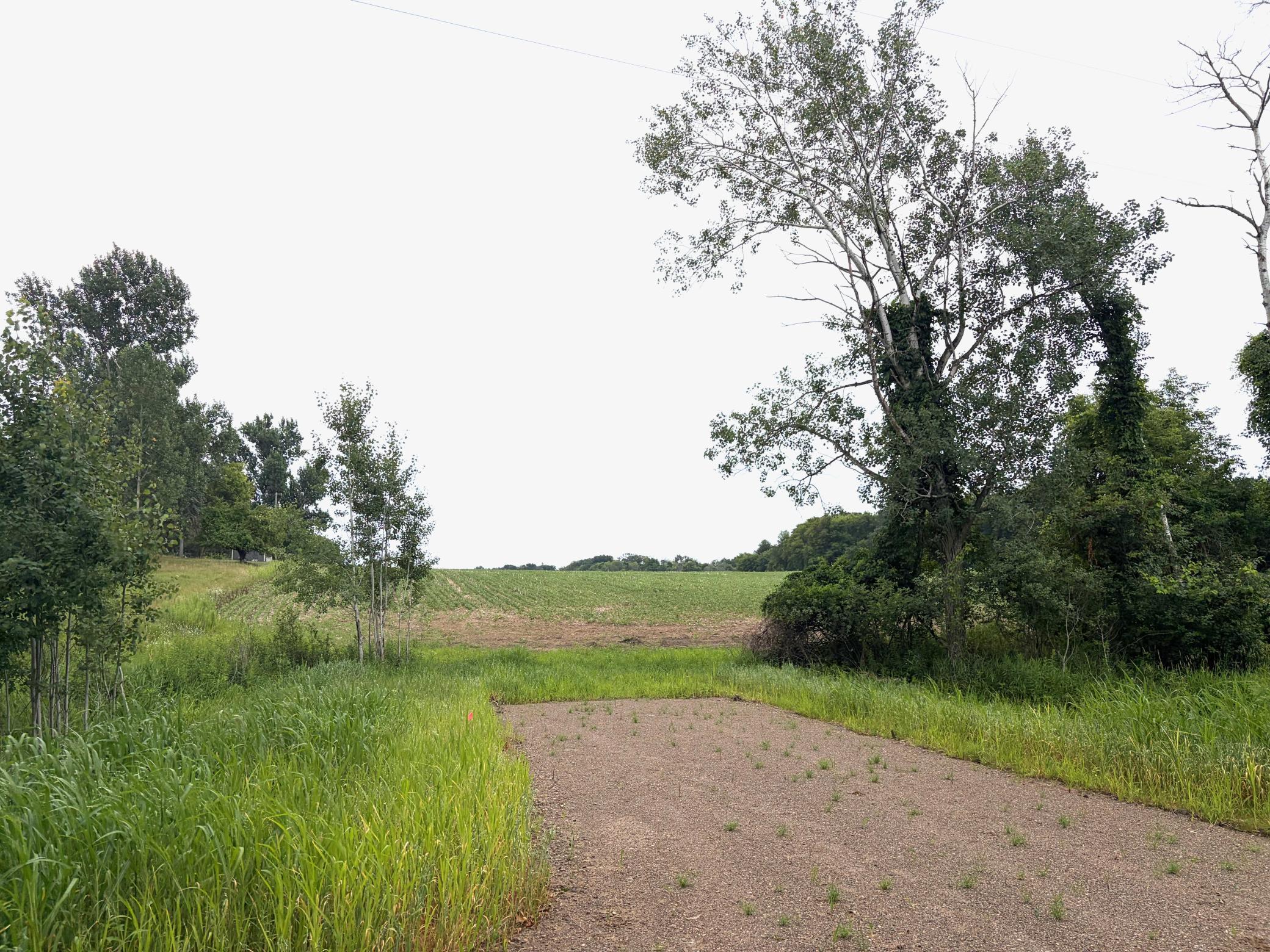 Welcome to (Lot 1, Block 1) Flamingo Meadows on Flamingo St. NW in Branford Twp.! This beautiful lot is 14.46 acres!
