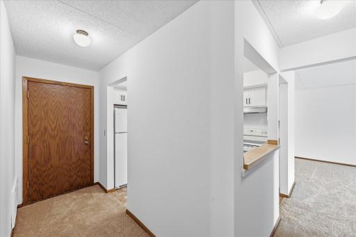 Walking into the Unit - Check Out The Fresh Brand New Carpet and Paint (2026)