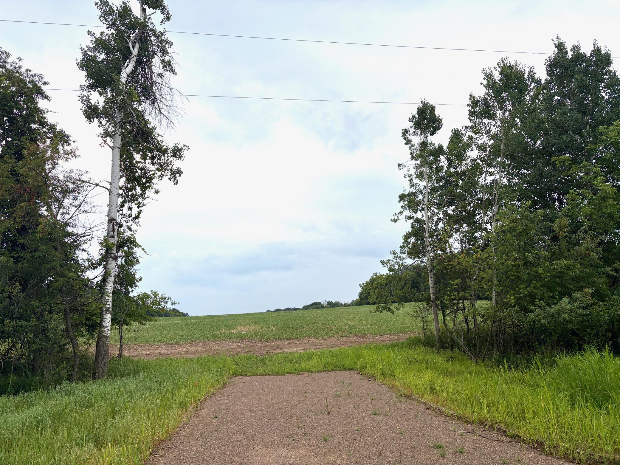 Welcome to (Lot 2, Block 1) Flamingo Meadows on Flamingo St. NW in Bradford Twp! This beautiful lot is 16.81 acres!