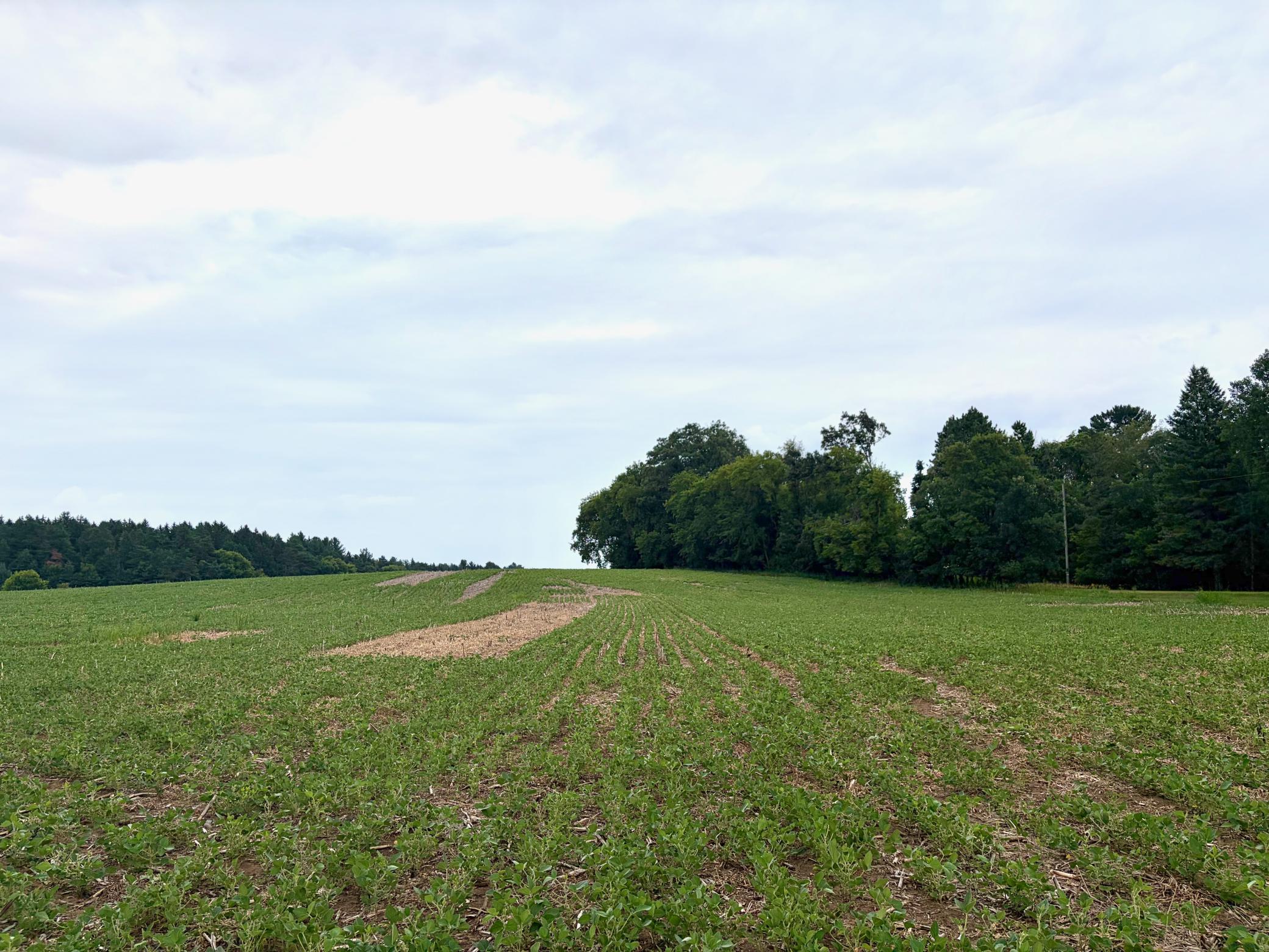 Welcome to (Lot 3, Block 1) Flamingo Meadows on Flamingo St. NW in Bradford Twp.! This beautiful lot is an amazing 31.22 acres!