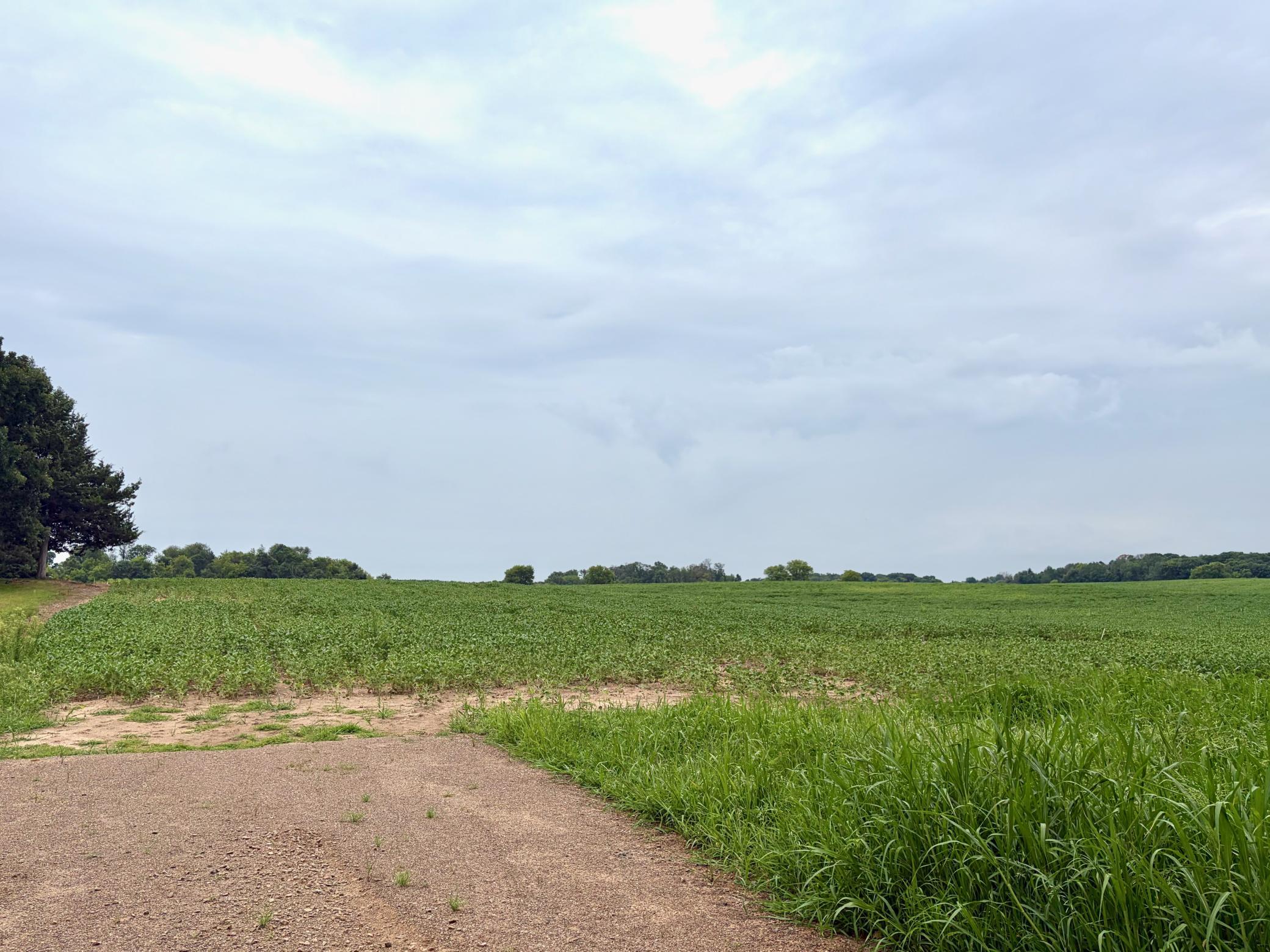 Welcome to (Lot 1, Block 2) Flamingo Meadows on Flamingo St. NW in Bradford Twp.! This beautiful lot is 15.69 acres!