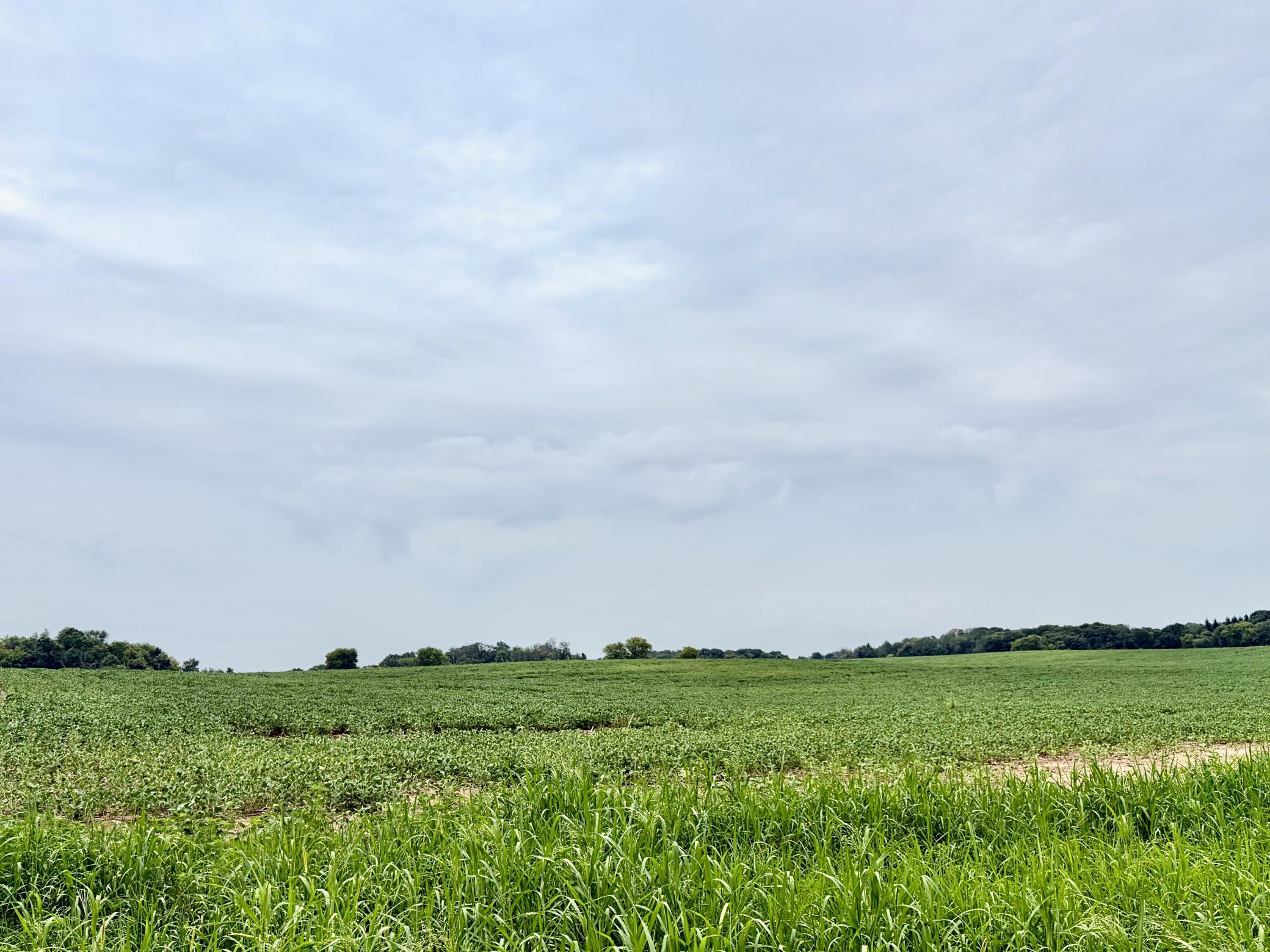 Welcome to (Lot 3, Block 2) Flamingo Meadows on Flamingo St. NW in Bradford Twp.! This beautiful lot is 11.36 acres!