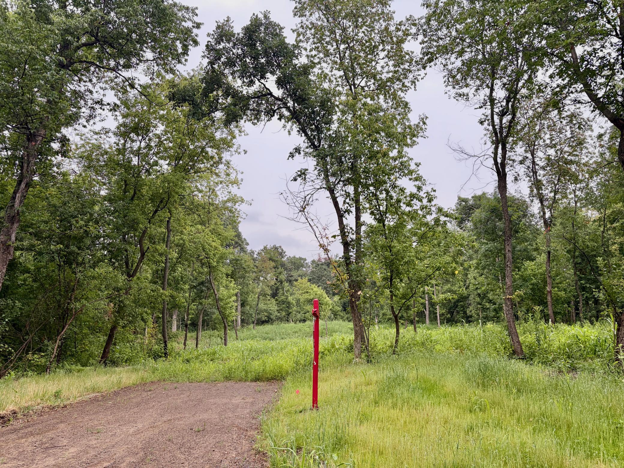 Welcome to (Lot 7, Block 2) Flamingo Meadows on Flamingo St. NW in Bradford Twp.! This beautiful and affordable lot is 2.5 acres!
