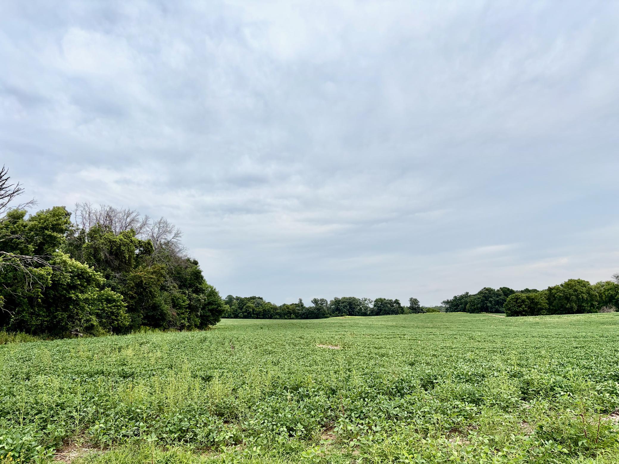 Welcome to (Lot 8, Block 2) Flamingo Meadows on County Road 5 NW in Bradford Twp.! This beautiful lot is 19.97 acres!