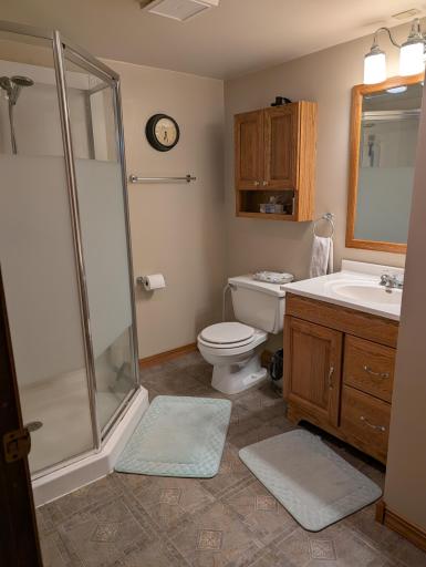 Lower Level Bathroom