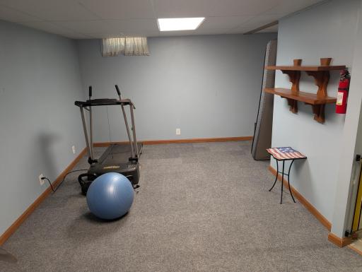 Lower Level Bonus Room