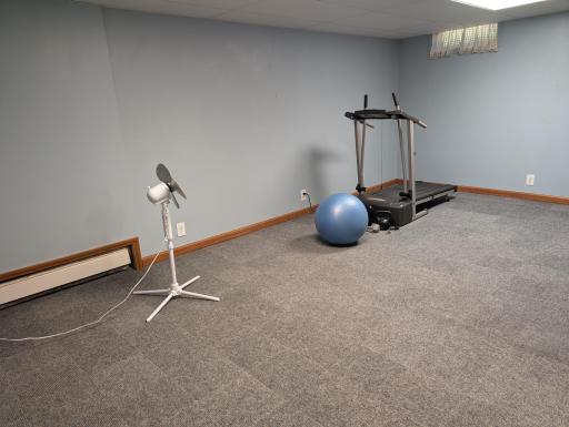 Lower Level Bonus Room
