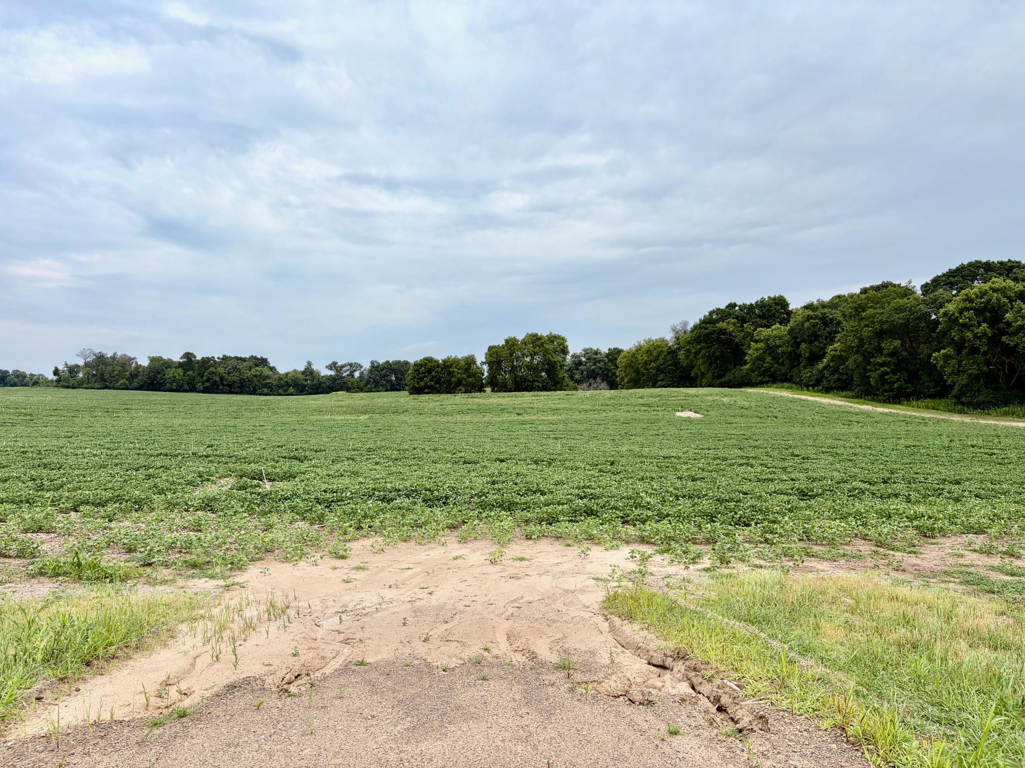 Welcome to (Lot 9, Block 2) Flamingo Meadows on County Road 5 NW in Bradford Twp.! This beautiful lot is 12.43 acres!