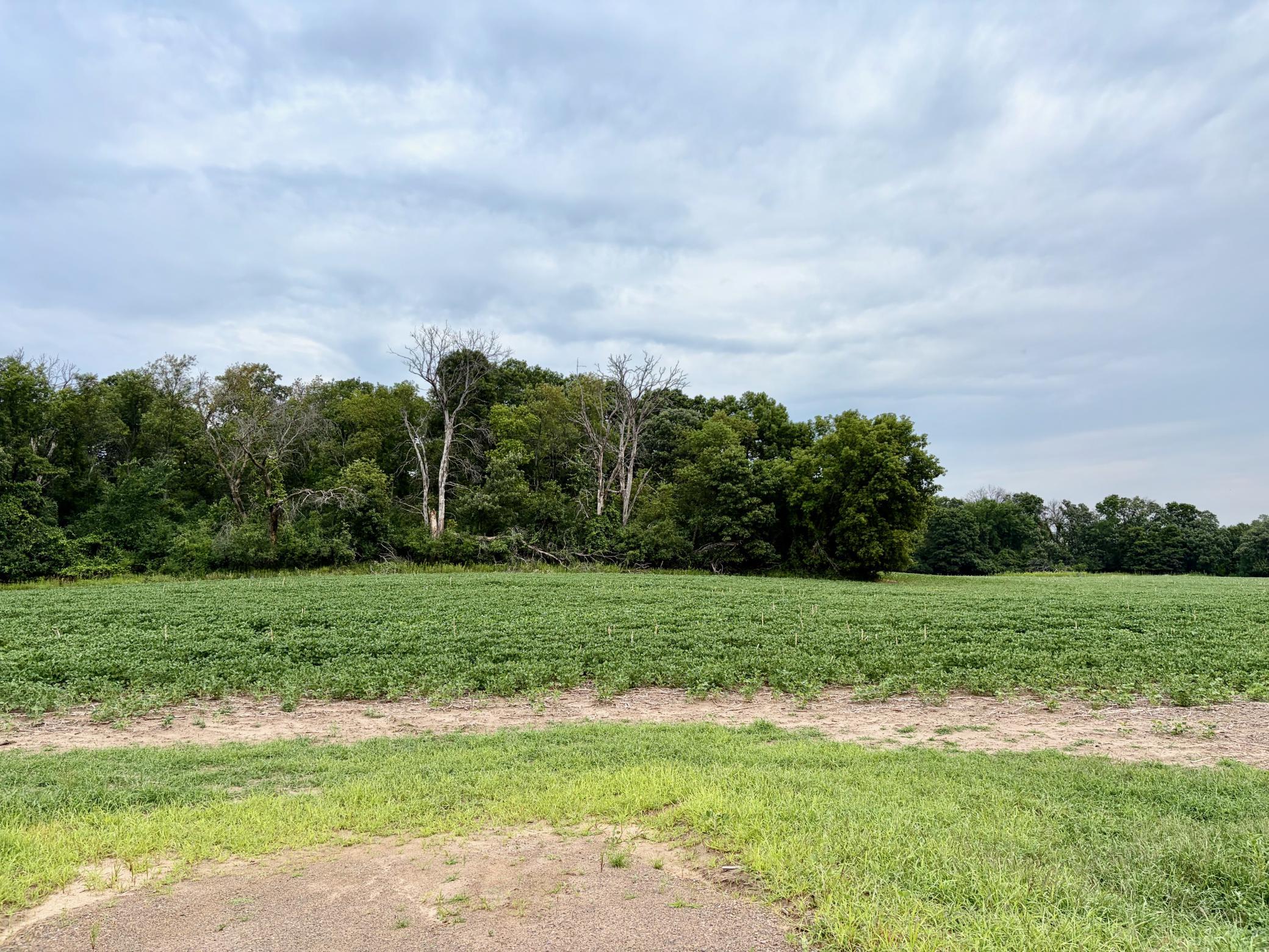 Welcome to (Lot 11, Block 2) Flamingo Meadows on County Road 5 NW in Bradford Twp.! This beautiful lot is 10.05 acres!