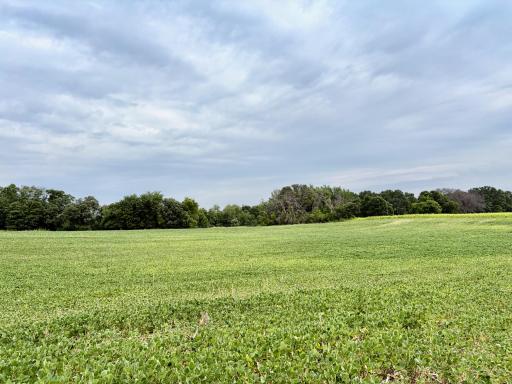 Photo for TBD (L12B2) County Road 5 NW, Isanti, MN 55040 - listing #7109441 Welcome to (Lot 12, Block 2) Flamingo Meadows on County Road 5 NW in Bradford Twp.! This beautiful lot is 10.47 acres!