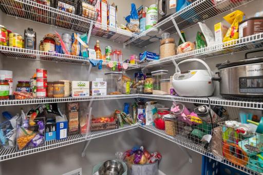 A step in pantry is great for large counter top appliances, boxed items and lots of canned goods. Do you ever shop at Costco?!