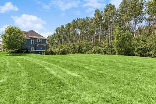 Next to huge non-buildable community open space