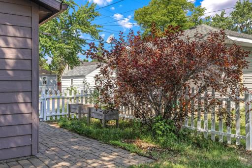Backyard raised garden beds and flowering tree