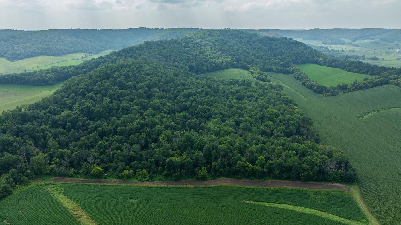 DJI_20250811153322_0790_D.jpg