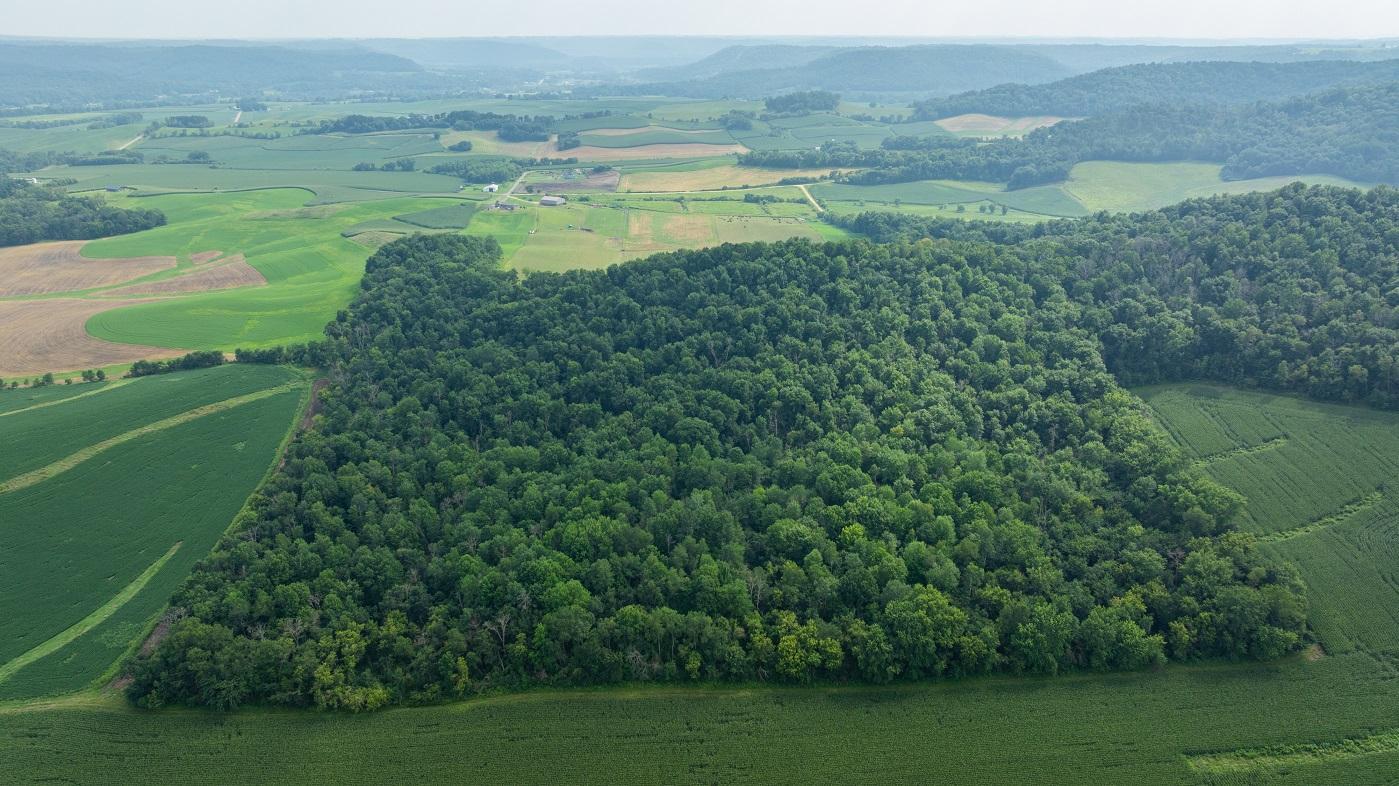 DJI_20250811153455_0793_D.jpg