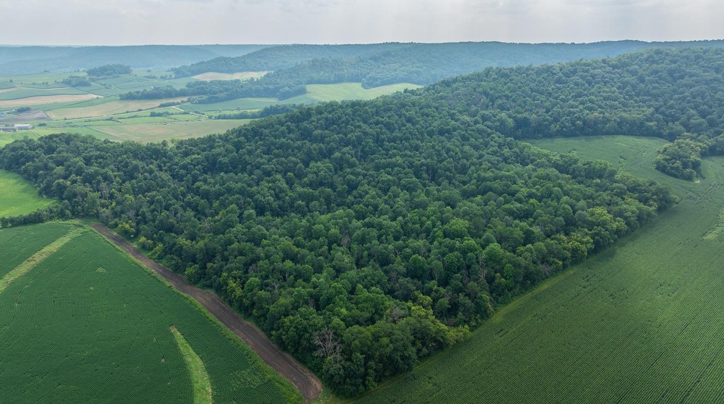 DJI_20250811153426_0792_D.jpg