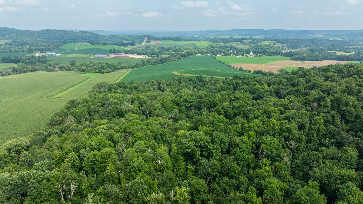 DJI_20250811153655_0798_D.jpg