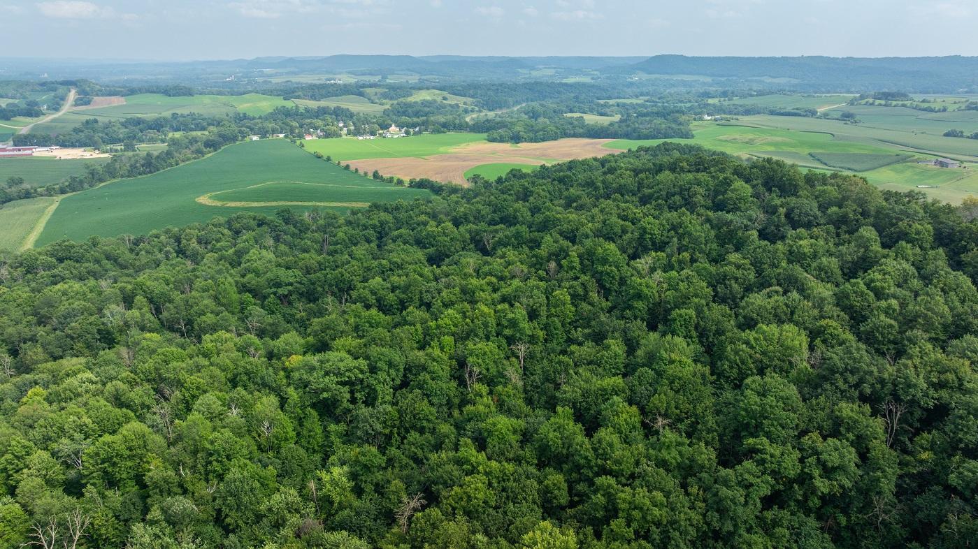 DJI_20250811153647_0797_D.jpg