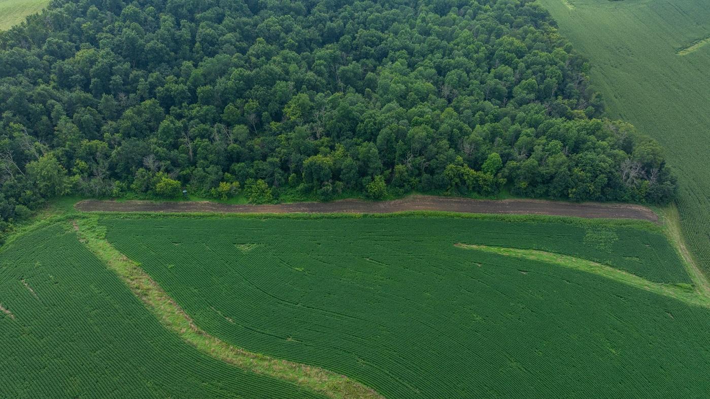 DJI_20250811153354_0791_D.jpg