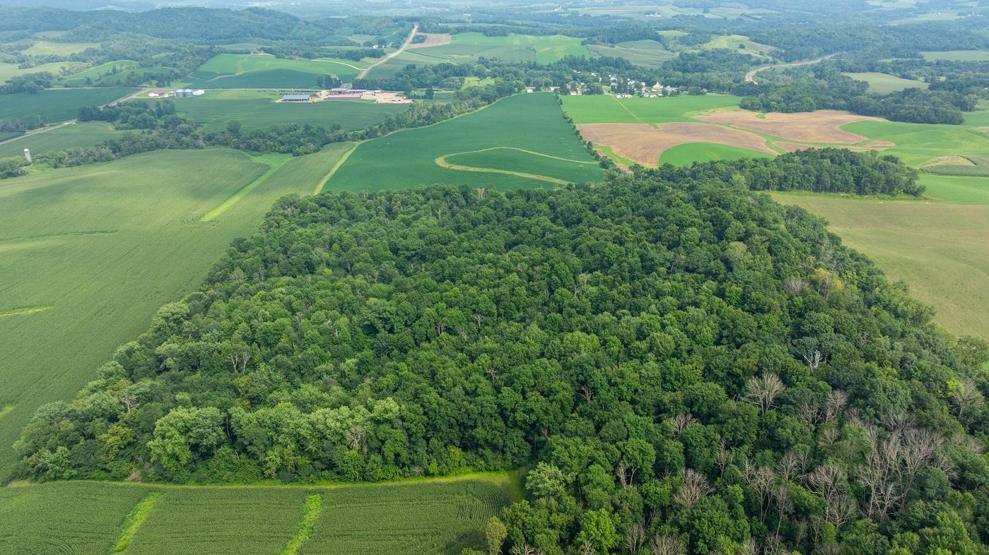 DJI_20250811153601_0795_D.jpg