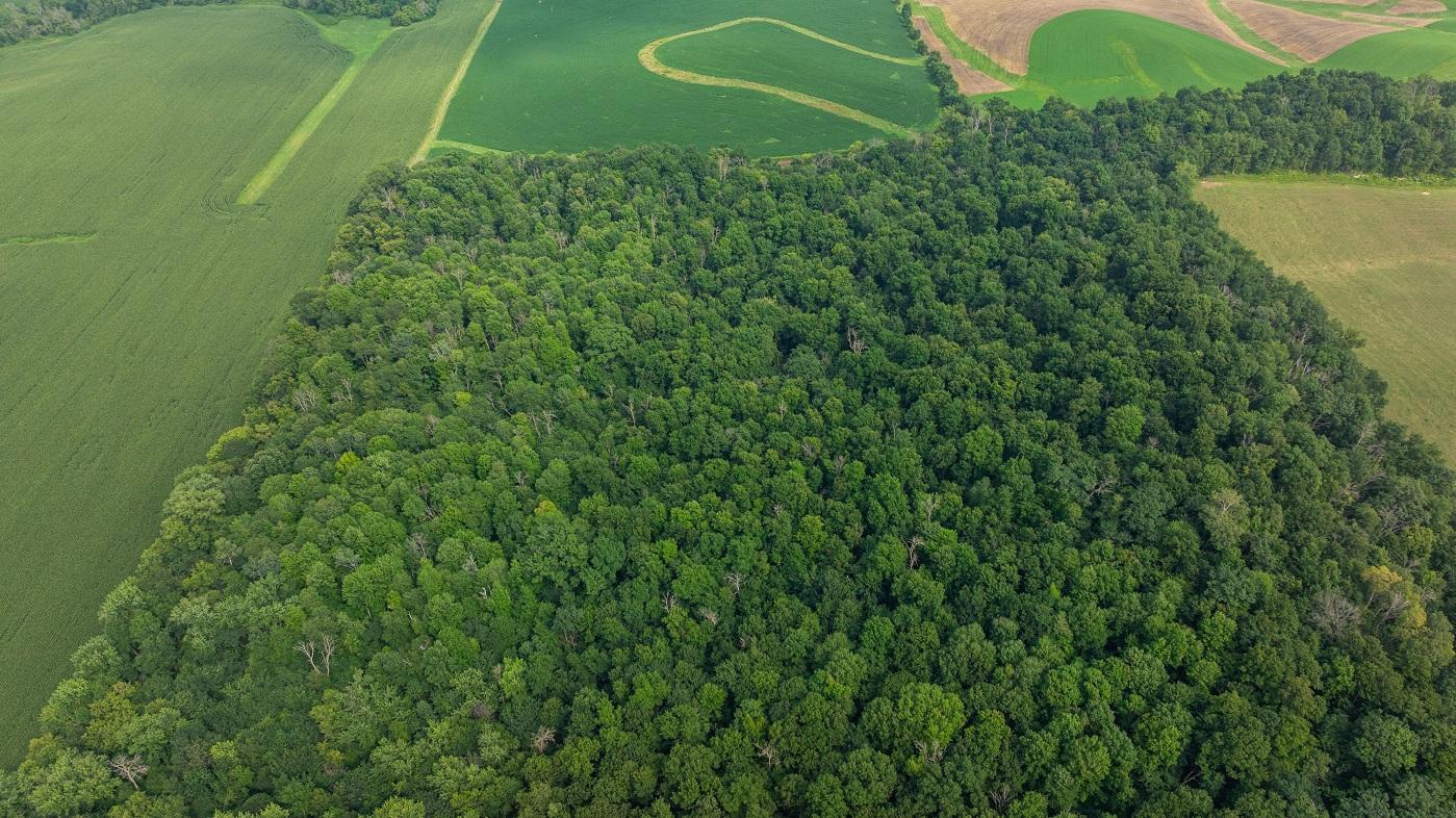 DJI_20250811153619_0796_D.jpg