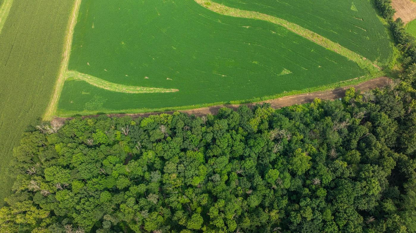 DJI_20250811153730_0799_D.jpg