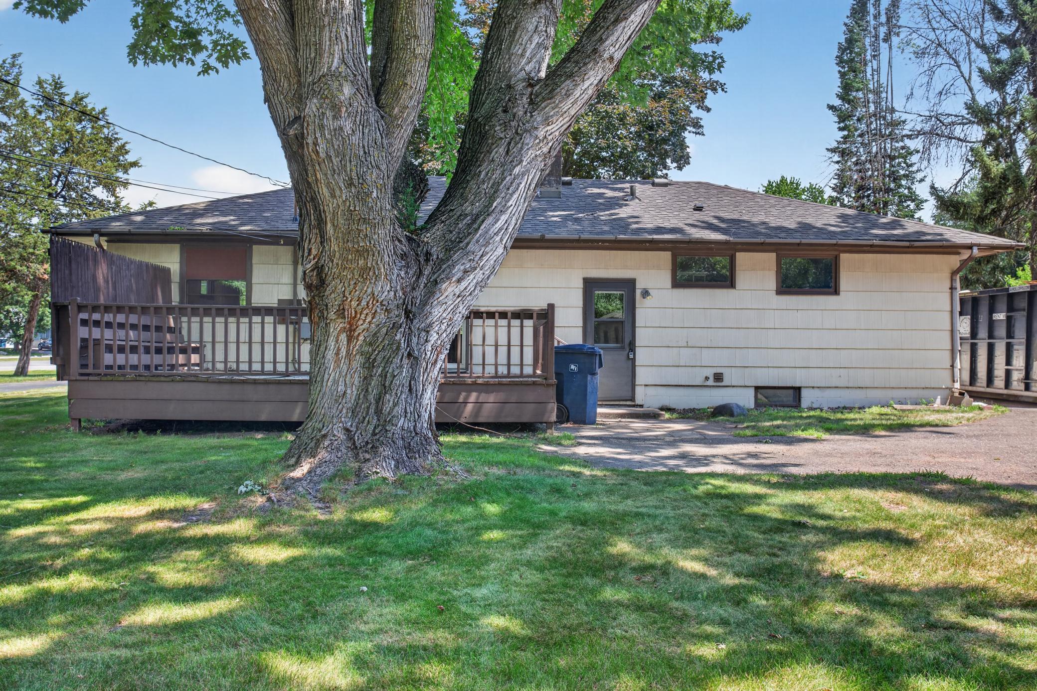 Large flat backyard