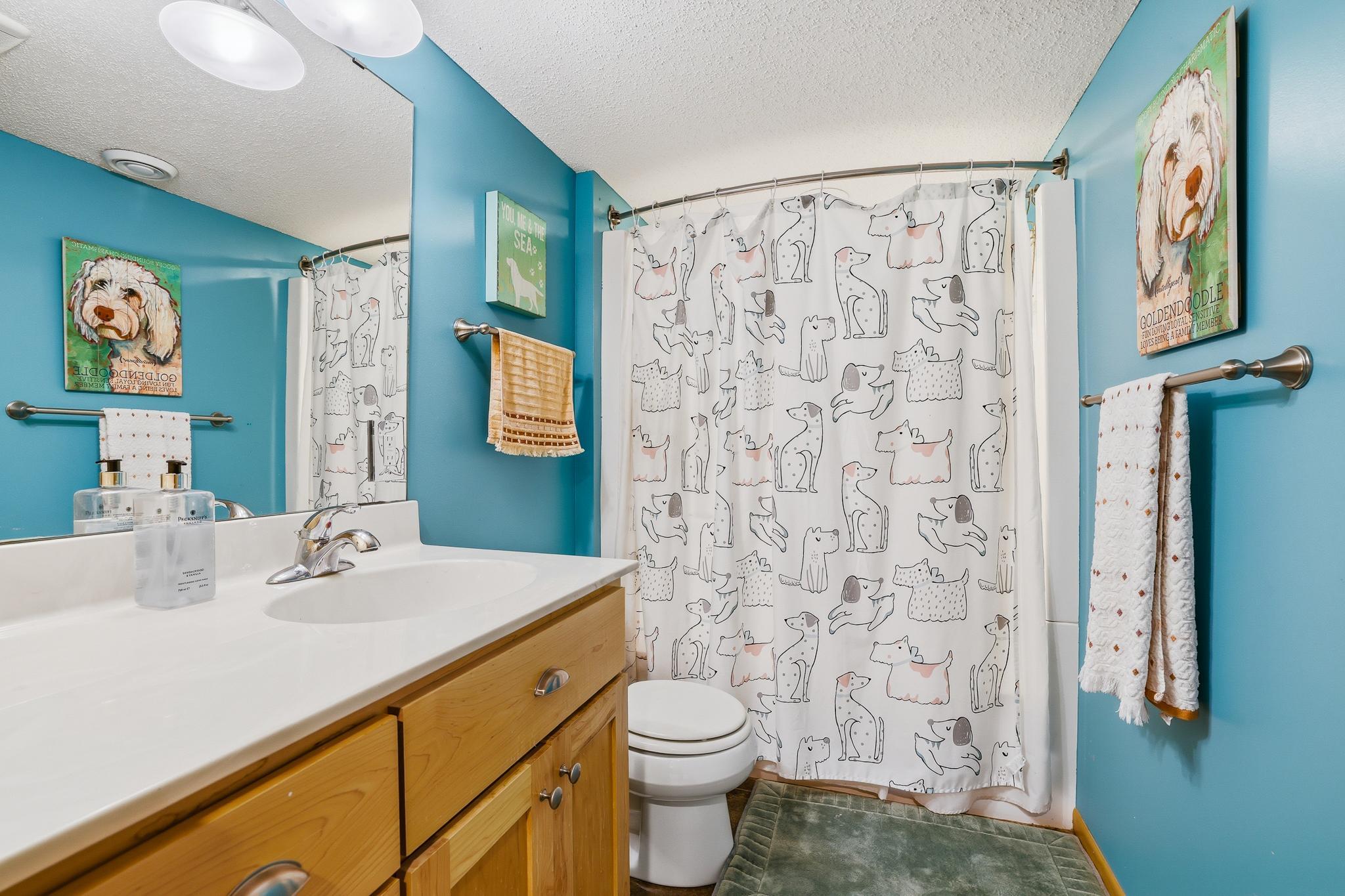 Lower level is complete with a full bathroom.