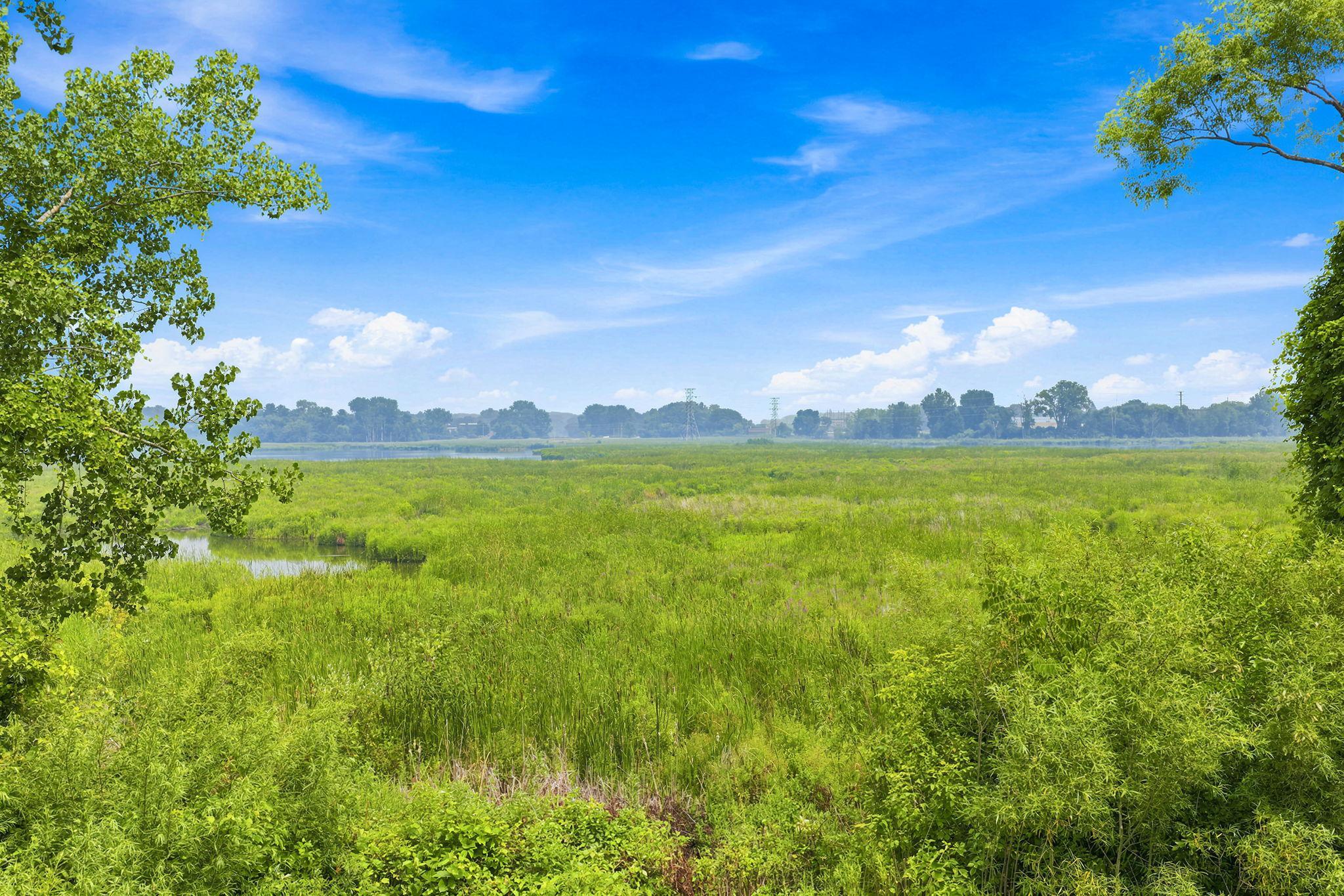 Rice Lake Preservation is beautiful and is filled with wonderful wildlife!