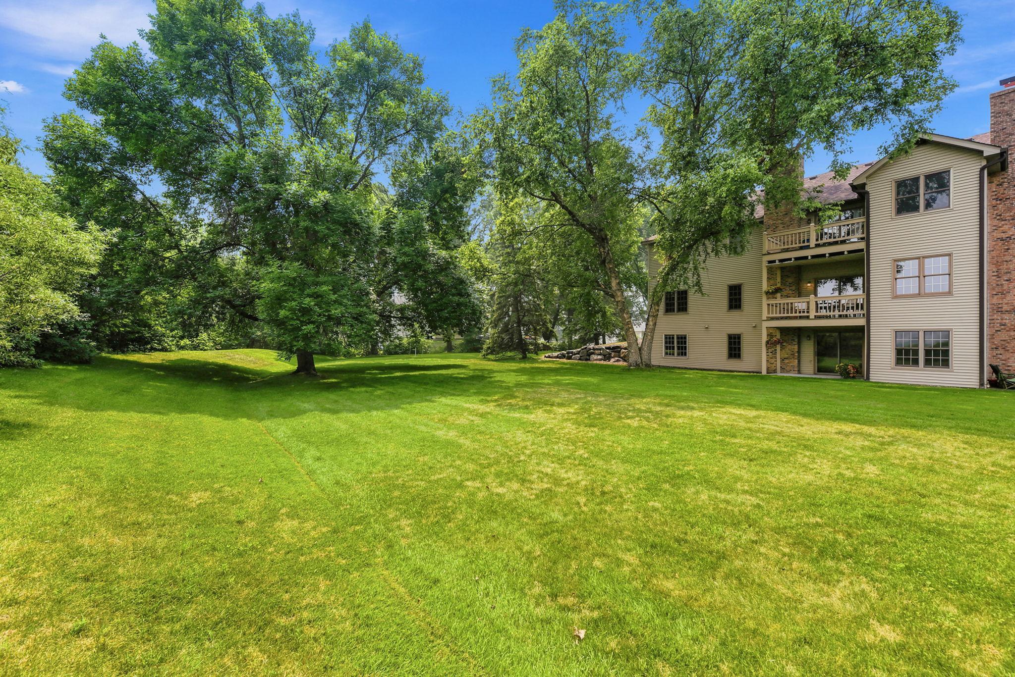 Large Backyard