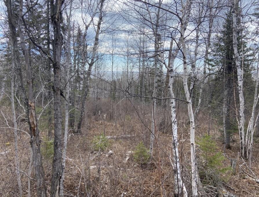Property photo for 000 Aspen Lane, Silver Bay, MN 55614