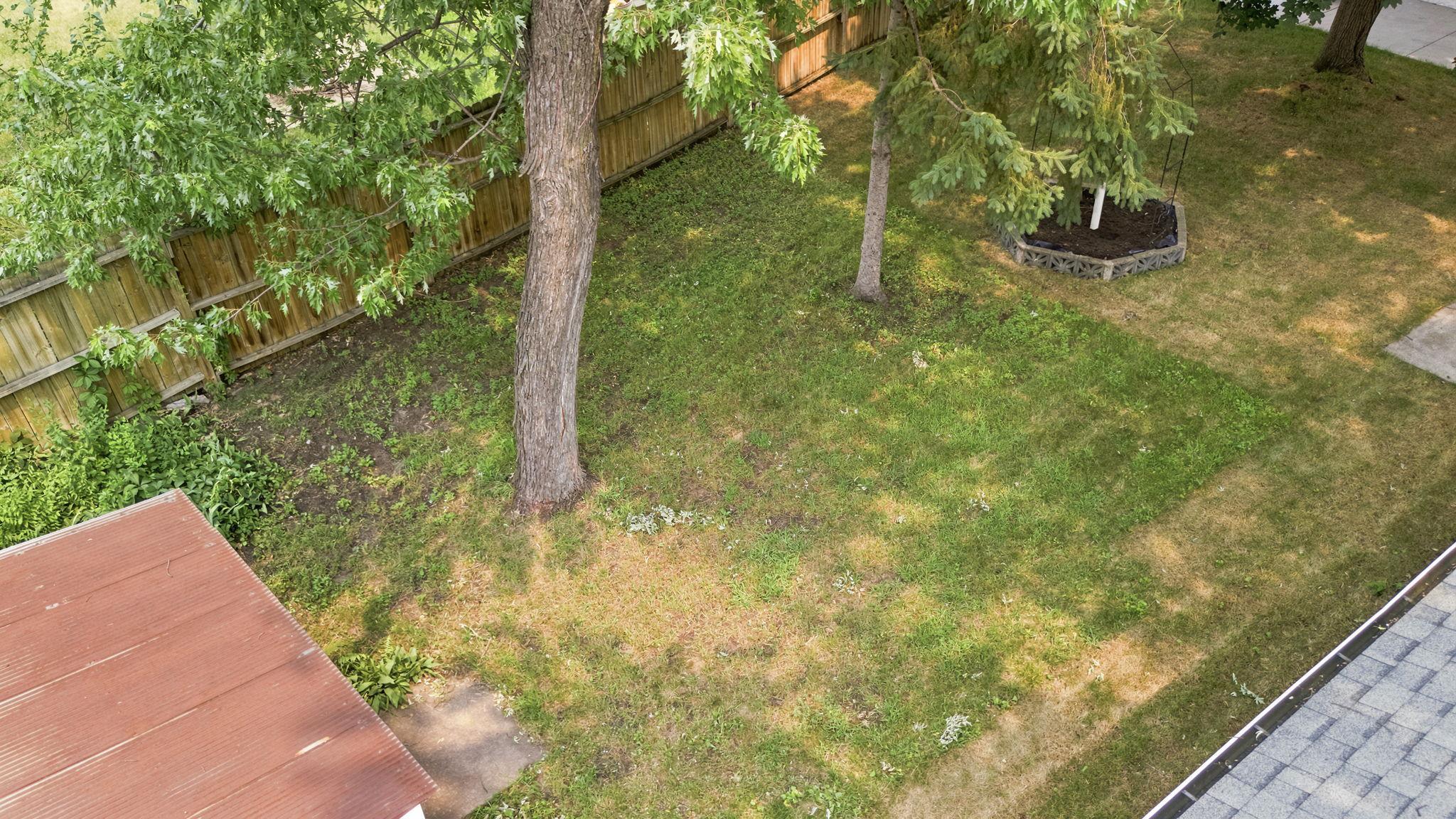 Photo 31