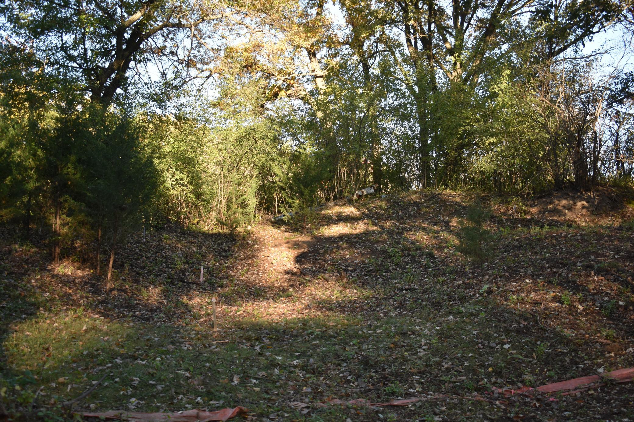 Beautiful, wooded lot. Bring your own builder