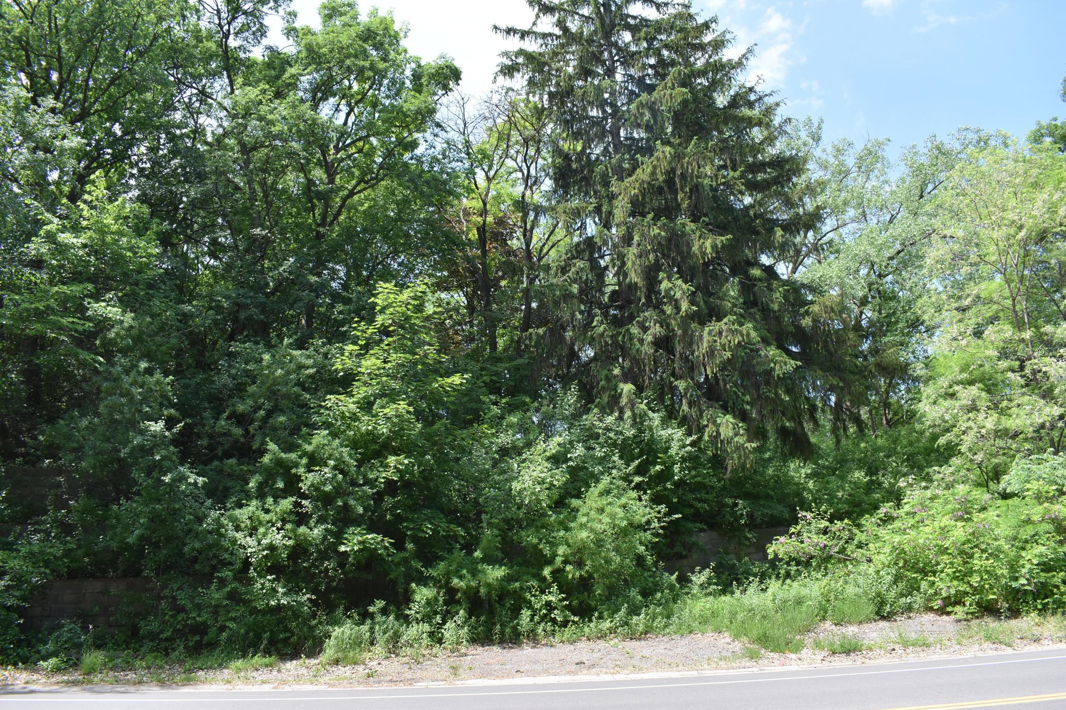 Wooded lot in Minnetonka