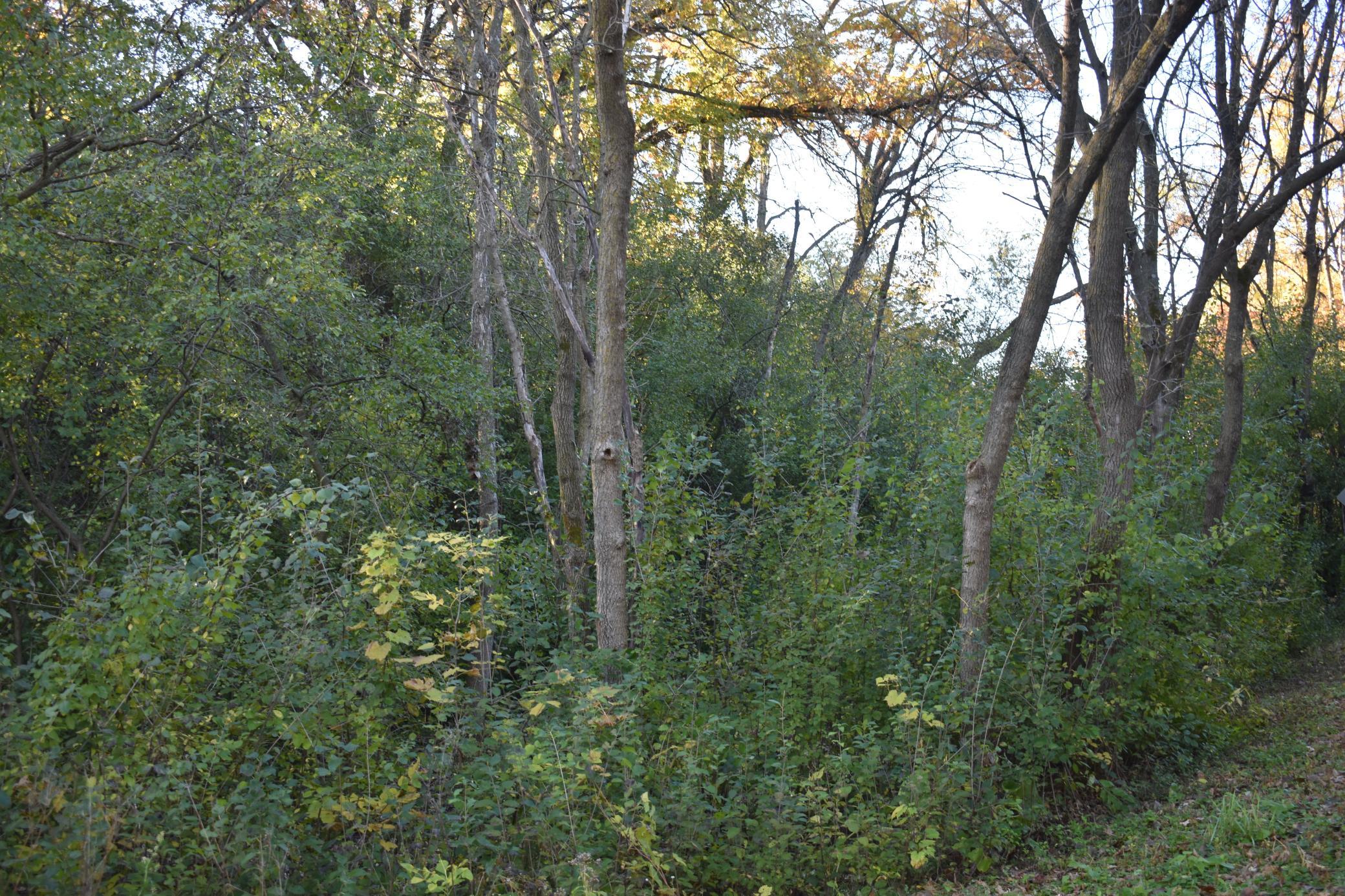 Privacy in an urban area