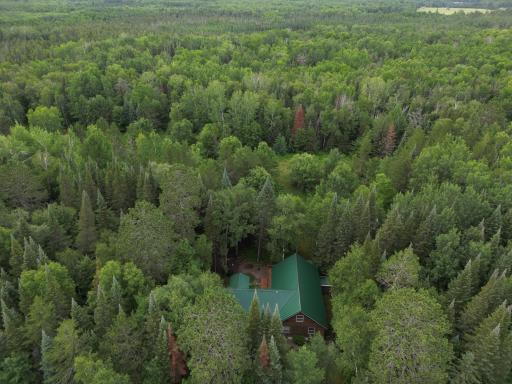 14085 Snapping Turtle Court NE, Bemidji, MN 56601