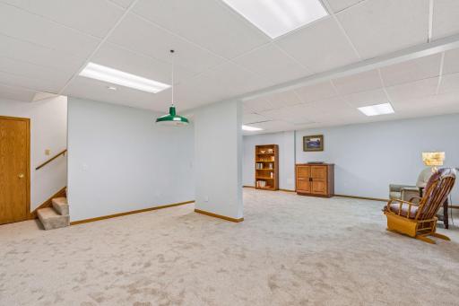 Finished rec room. Not pictured: abundant storage in the utility room and a workshop