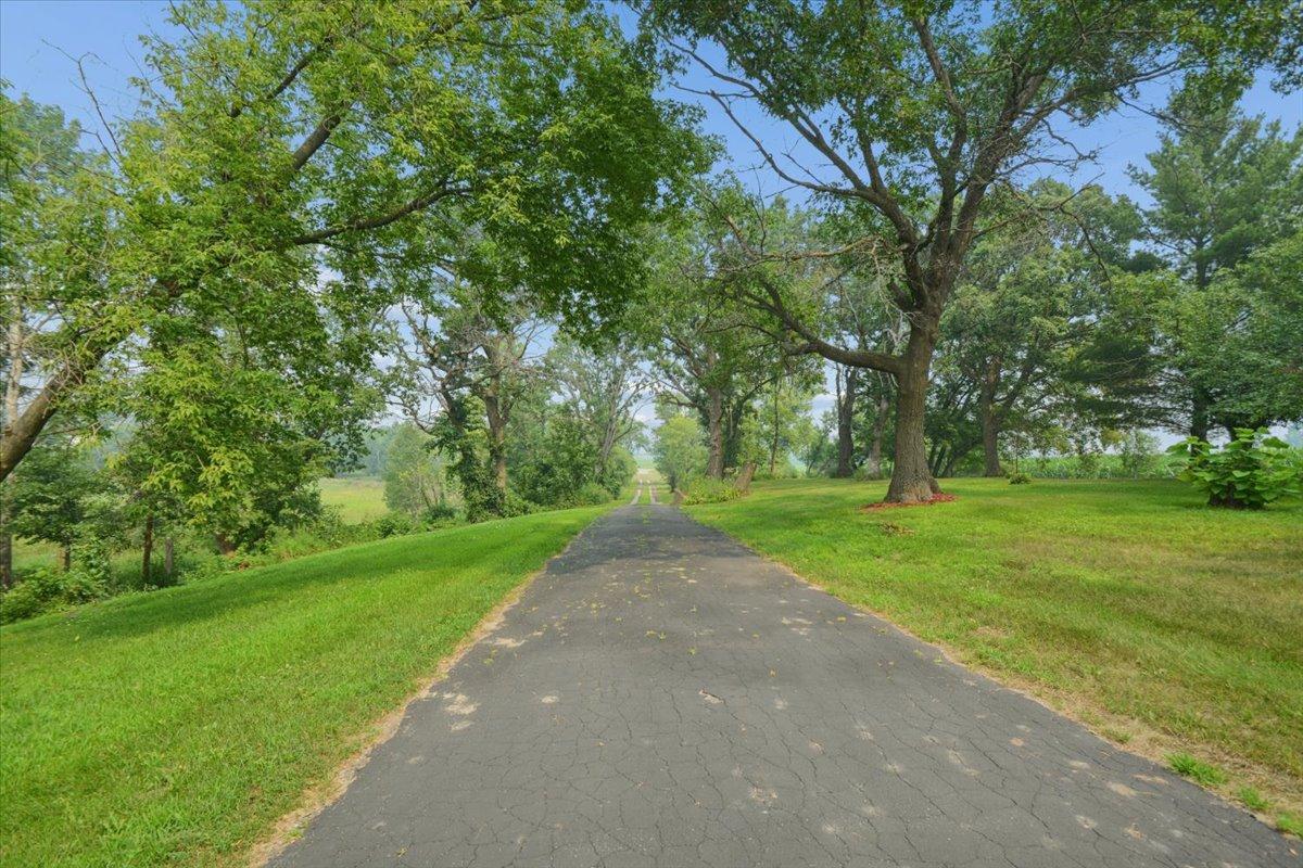 Driveway heading away from home