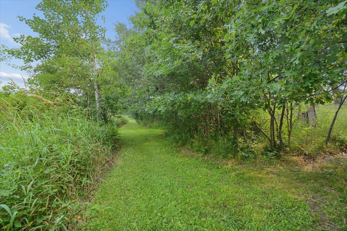 Mowed walking path through woods