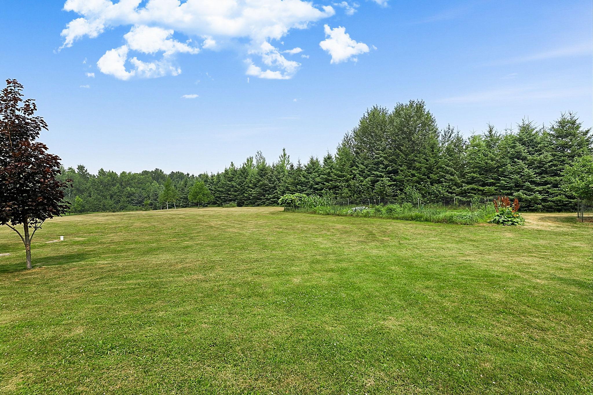 Backyard Views
