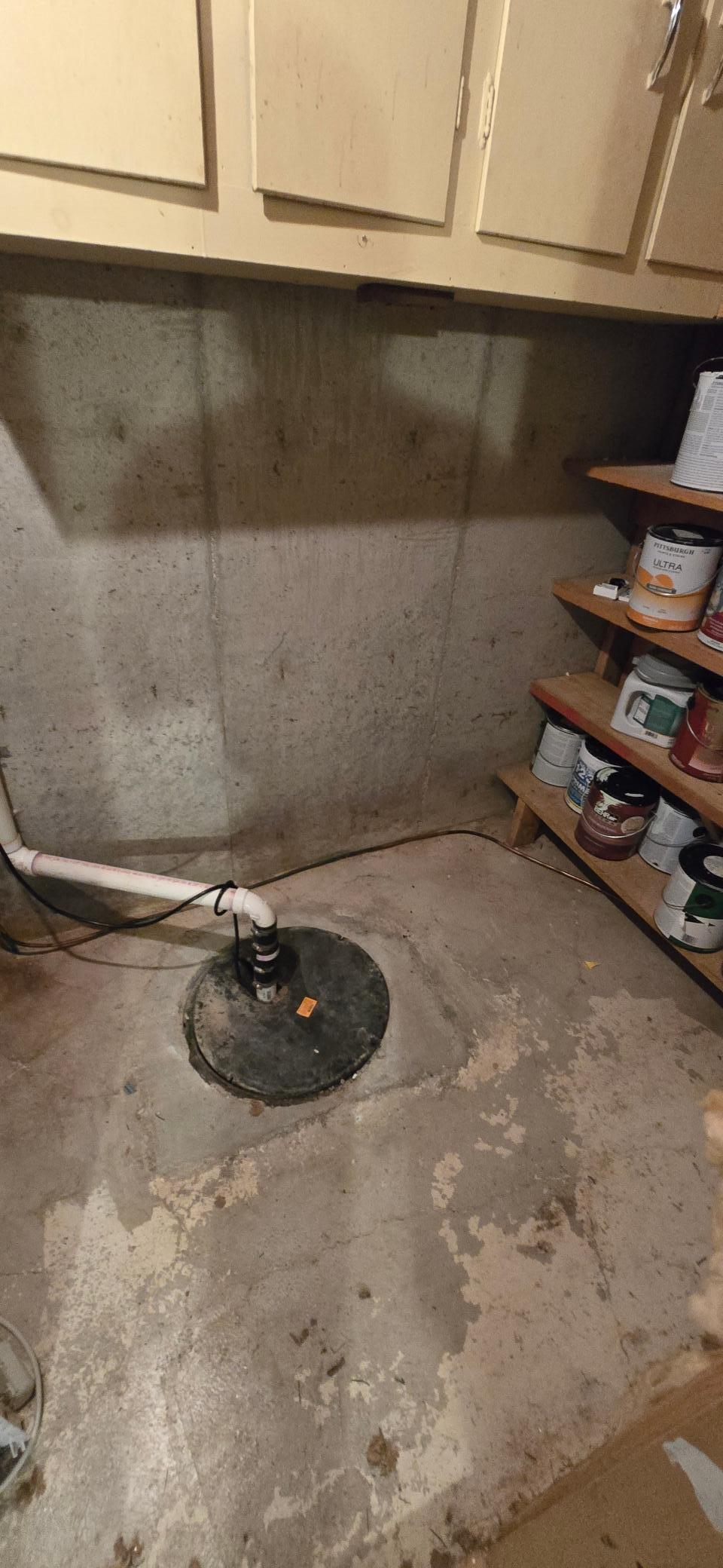 sump.pump.jpg