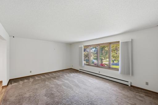 11006 Radisson Drive, Burnsville, MN 55337