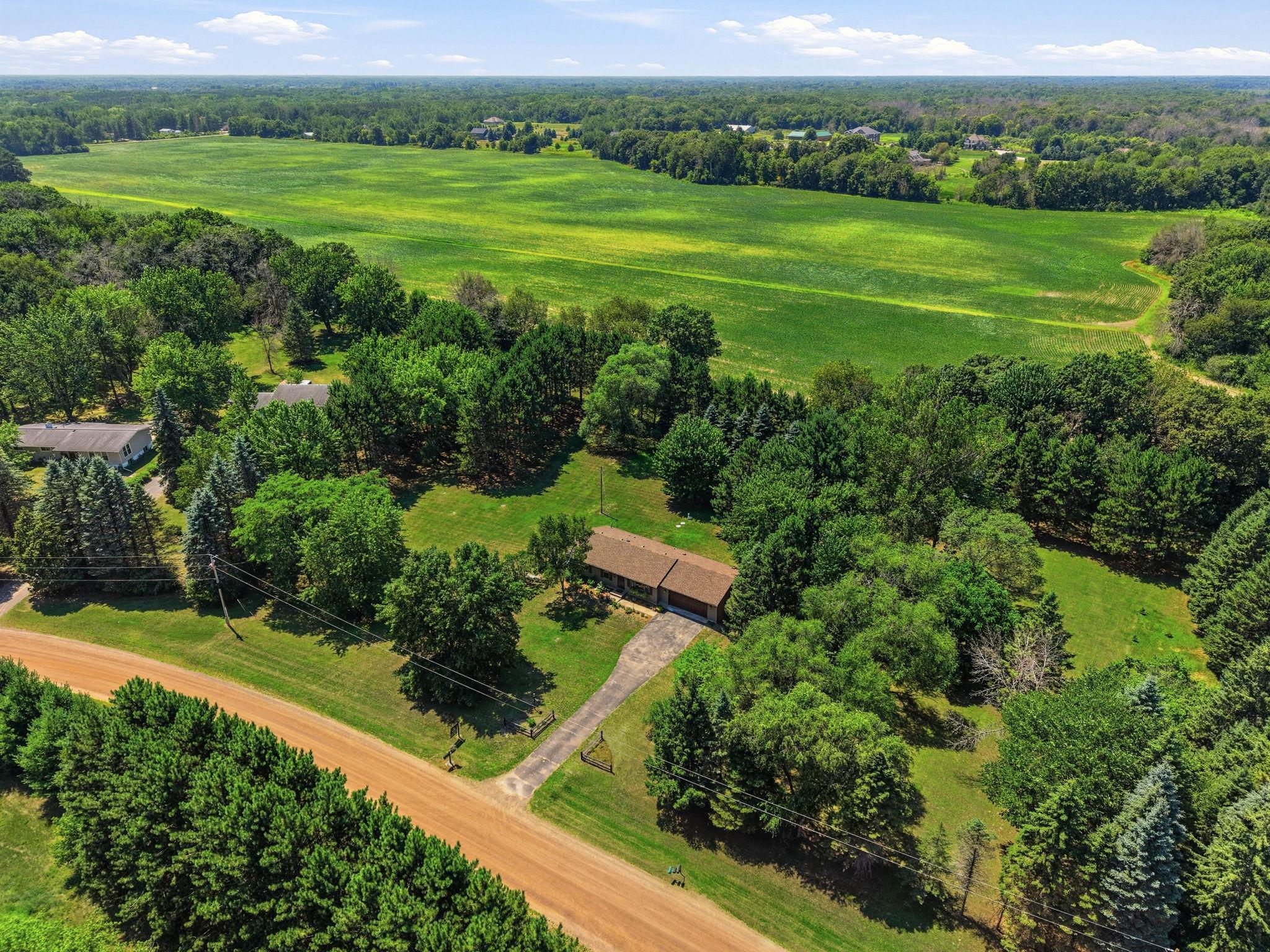 2 acres of green space protected by matures pines