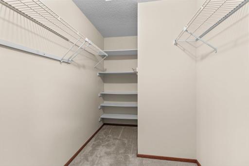 Main Level Primary Bedroom Walk-In Closet