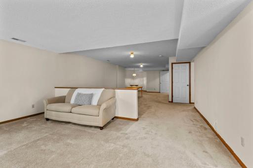 Spacious Lower Level Family Room