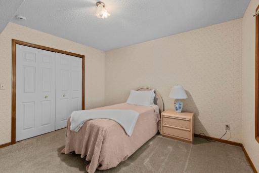 Lower Level Third Bedroom With a Deep Closet