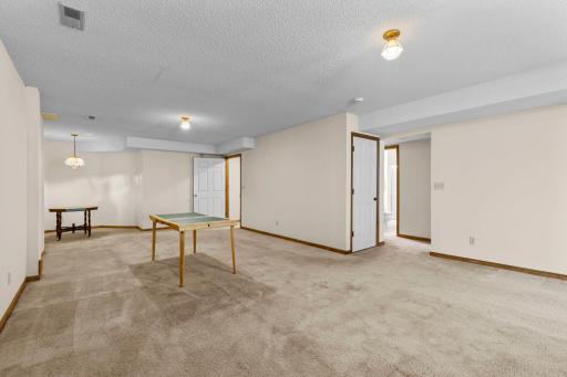Lower Level Family Room