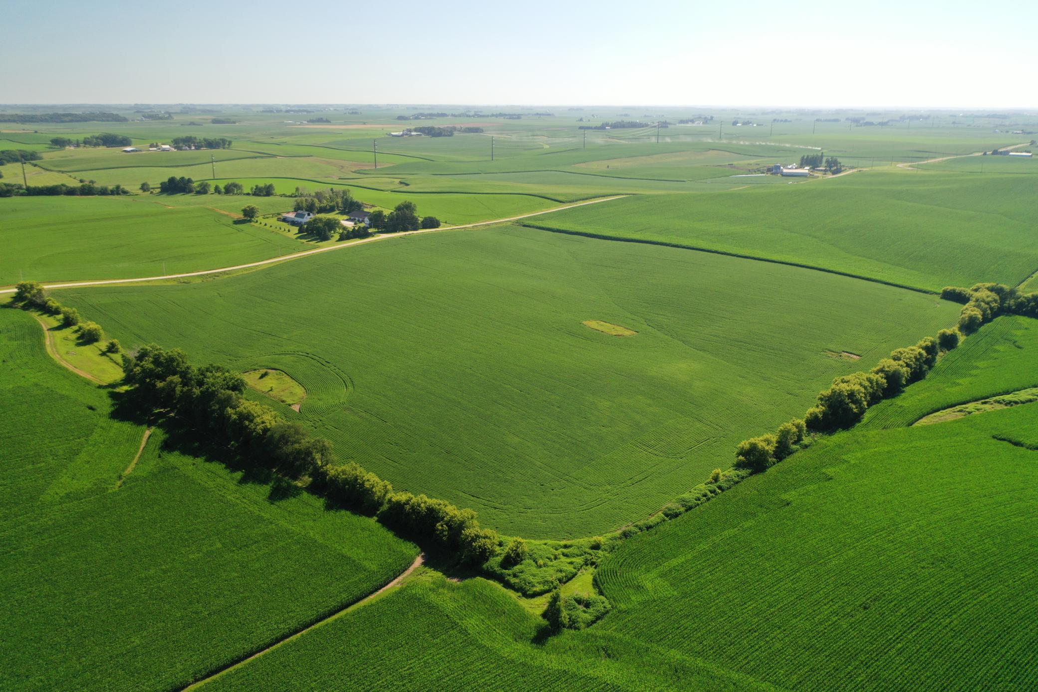 DJI_0493.JPG