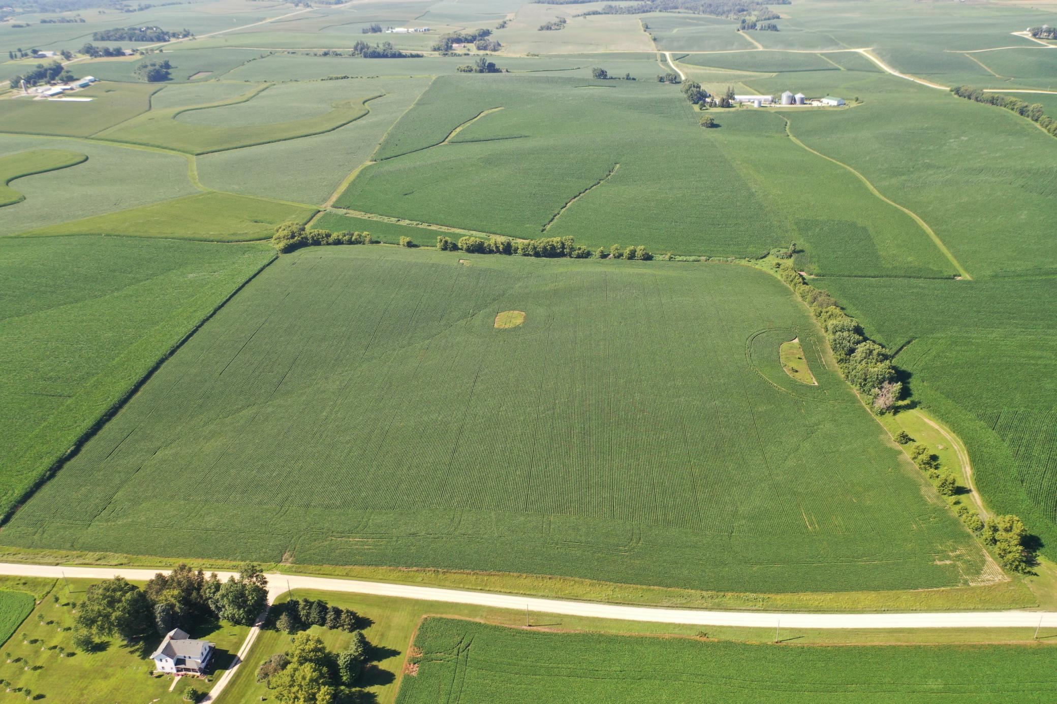 DJI_0485.JPG